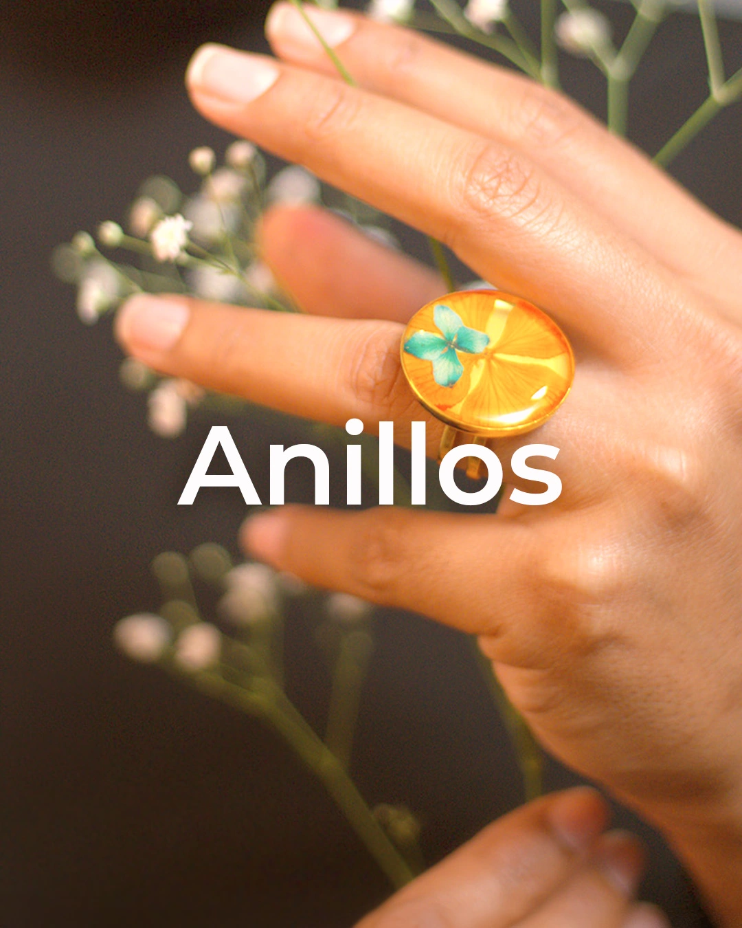 Anillos